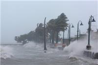 Cơn bão Irma ‘nuốt’ trọn 65 tỷ USD của ngành bảo hiểm Mỹ